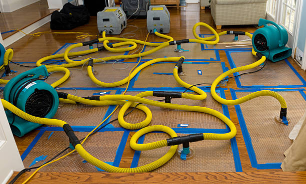 Professional Burst Pipe Water Damage technician working in Hyannis Port, MA